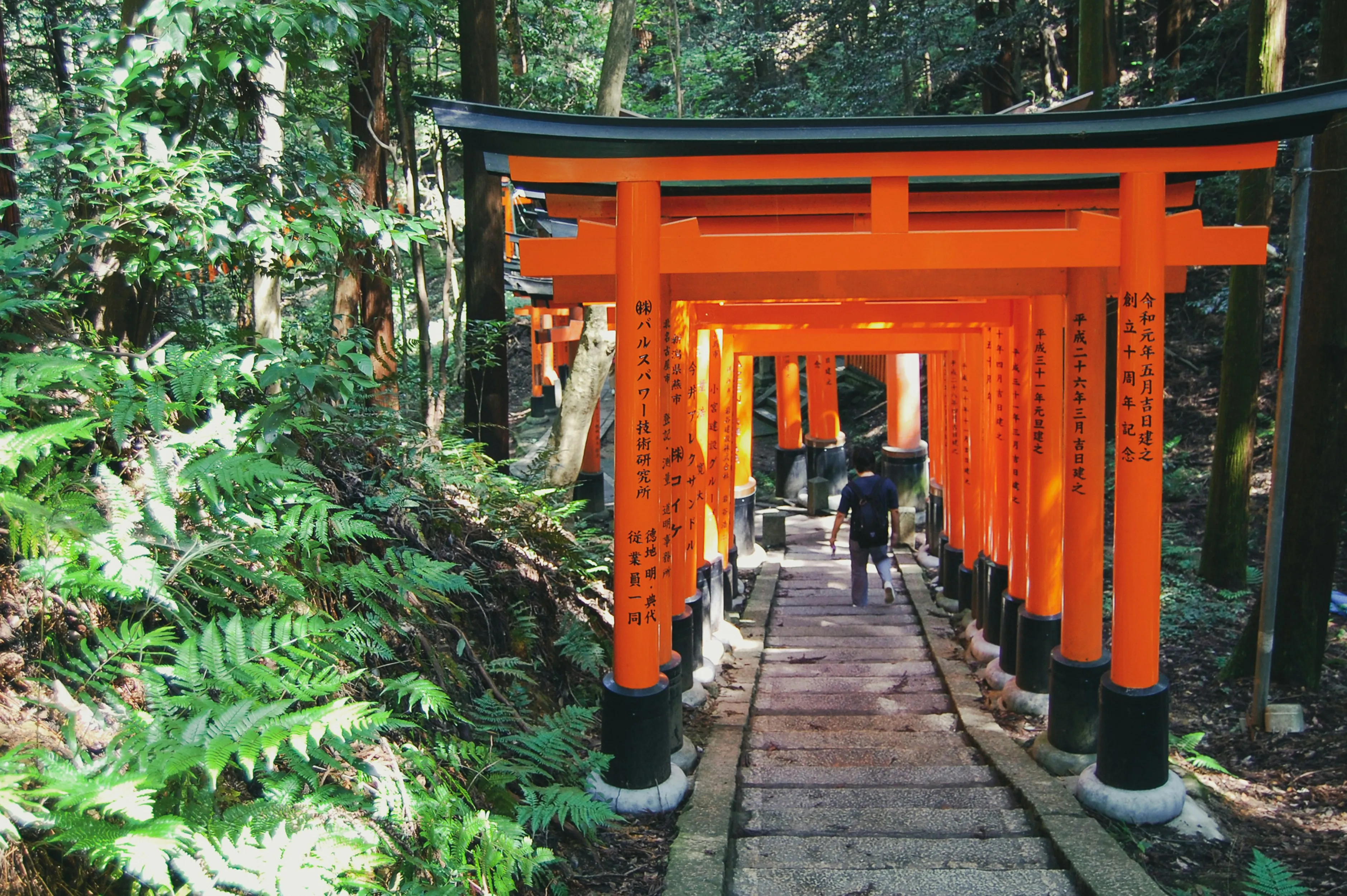 Kyoto, Japan